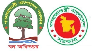 Photo of বন অধিদপ্তর নিয়োগ বিজ্ঞপ্তি  – পদ ৭৮ টি